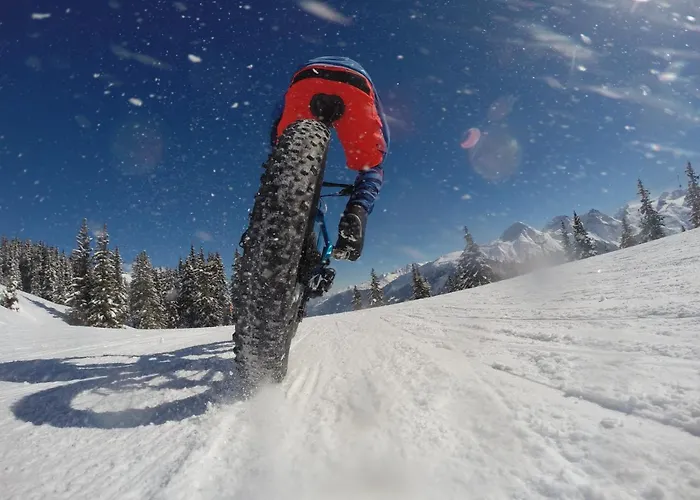 Catrina * ديسنتس